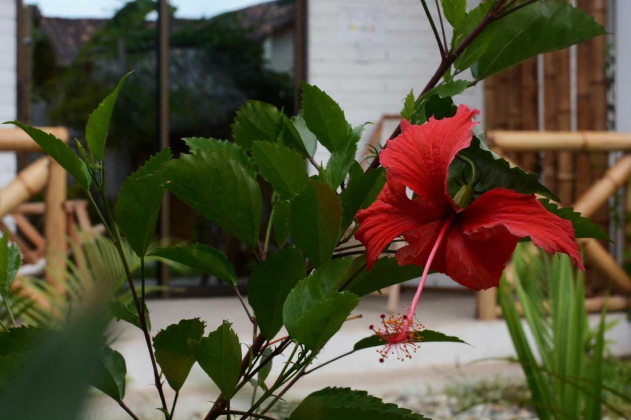 Hotel Casita Madame Puerto López Exteriér fotografie